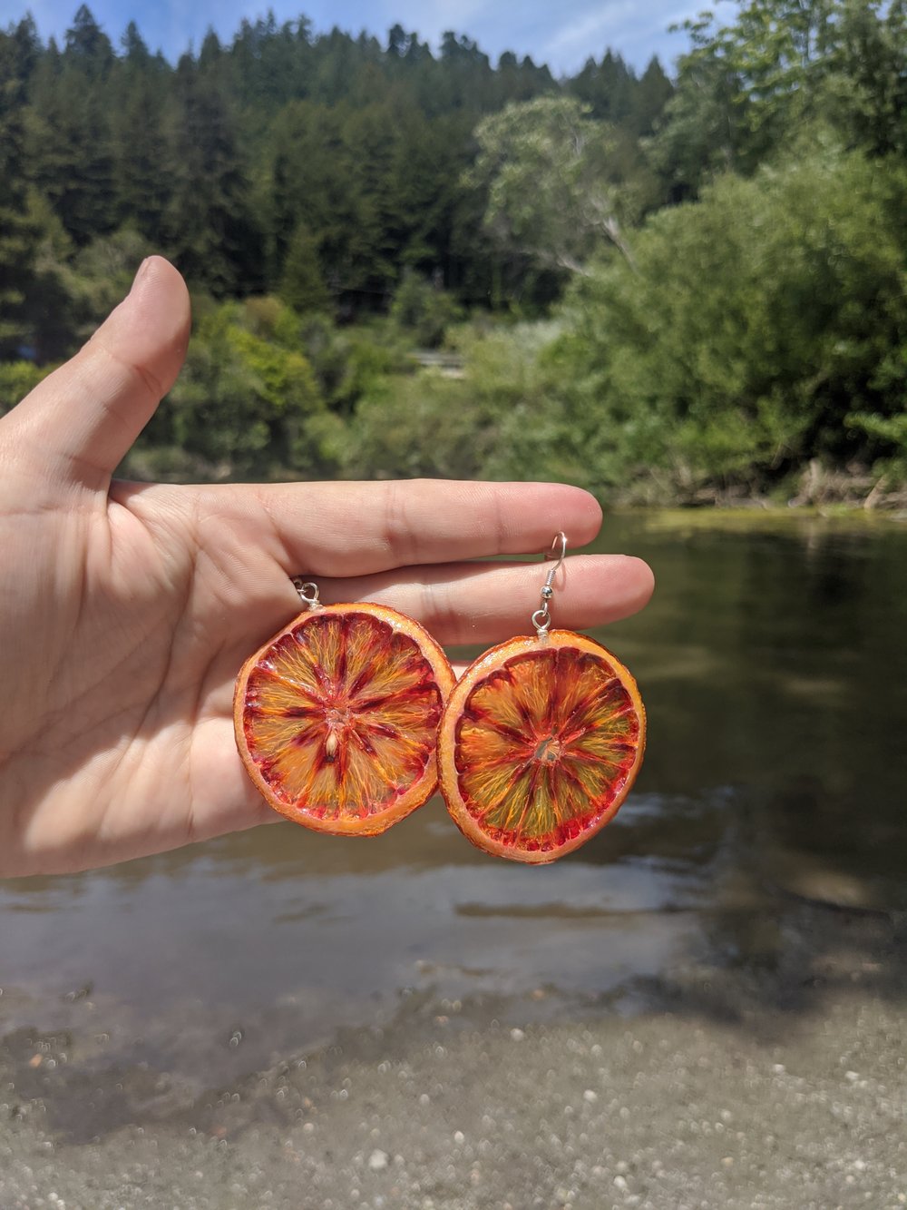 Image of Dried Blood Orange Earrings