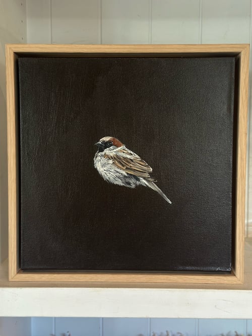 Image of The Bird on Brown by Monique Correy