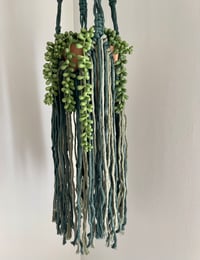 Image 3 of Green Fringe Plant Hanger 