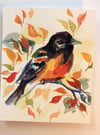 Otis the Oriole - Watercolor bird painting