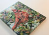 Berry the Cardinal - bird painting on canvas
