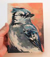Sun on your Shoulders - Blue jay painting
