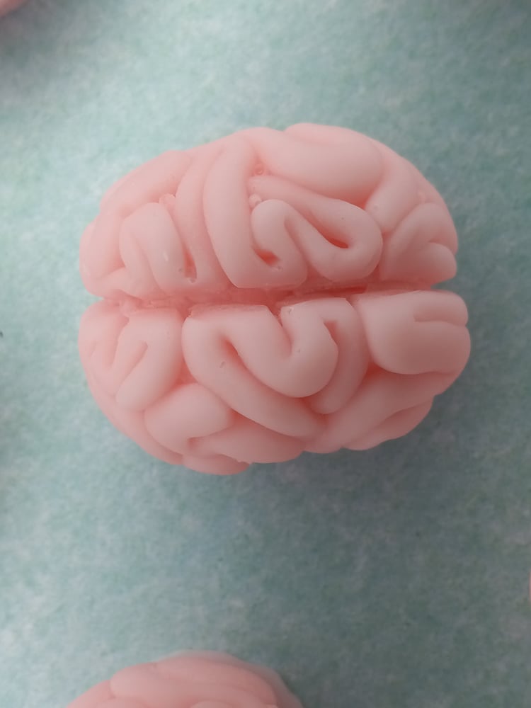 Image of Bleeding Brains 