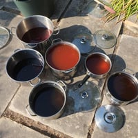 Image 5 of Discover Plant Dyes 