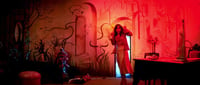 Image 4 of Suspiria