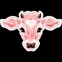 Image 3 of Cow-eyed Stickers 