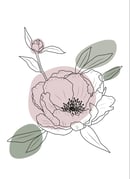 Image 1 of Peony - Print