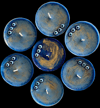 MATI EVIL EYE TEALIGHT