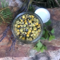 Image 1 of Sleepy Bear | organic herbal tea