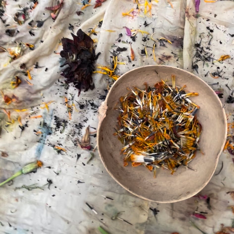 Image of Organic British-Grown Marigold Seeds