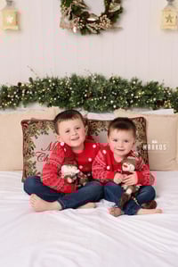 3rd of November  Christmas Minis 