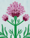 VALERIANA