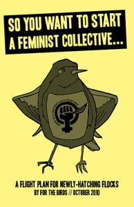 Image of So You Want To Start A Feminist Collective...