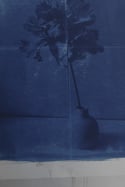 Cyanotype Fleur Lokta - 50*65 cm