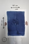 Cyanotype Fleur Lokta - 50*65 cm