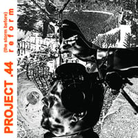 Project .44