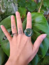 Mouse Tooth Ring