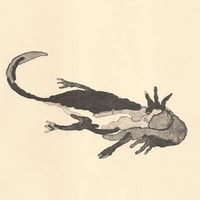 Image 2 of Litografía  Axolotes
