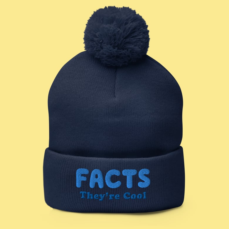 Image of FACTS They're cool.  Pom-Pom Hat