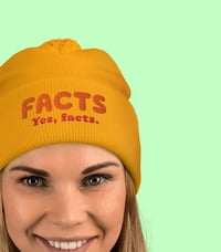 Image 1 of FACTS Yes, facts.  Pom-Pom Hat
