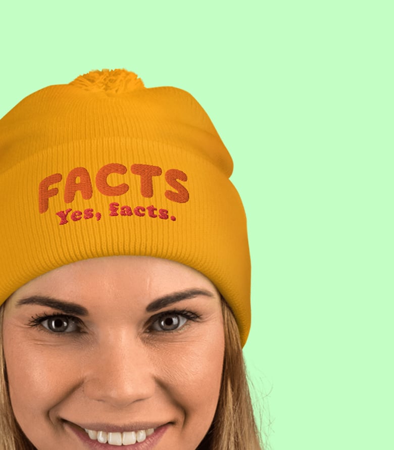 Image of FACTS Yes, facts.  Pom-Pom Hat