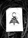 'Moon Moth' A5 Print
