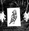 'Crow Skulls' A5 Prints