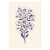 Purple Cosmic Wildflower Card by Becky Amelia