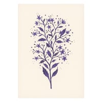 Purple Cosmic Wildflower Card by Becky Amelia