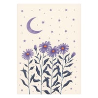 Aster and Moon Greeting Card by Becky Amelia