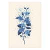 Blue Cosmic Wildflower Greeting Card by Becky Amelia