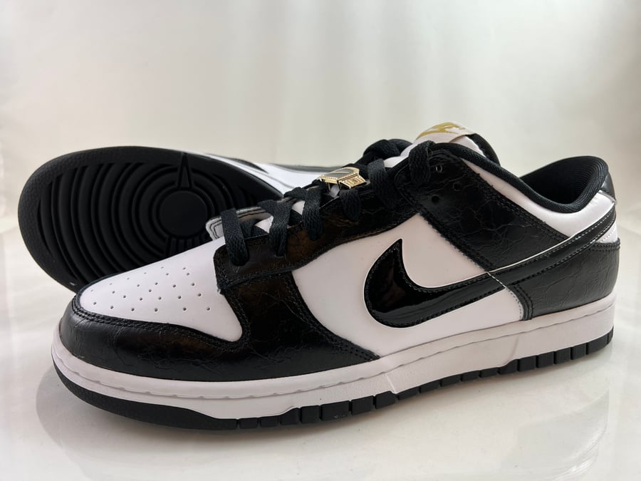 Image of Nike Dunk Low "World Champs" DR9511-100