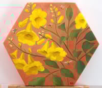 Image 1 of The Bee Bar
