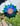 Flower Mandala - Extra Large 