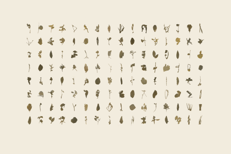 Poster aurece vettier