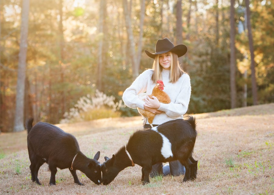 Image of Sessions at The Art Barn Farm