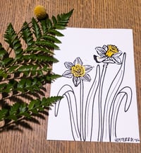 Daffodil Print