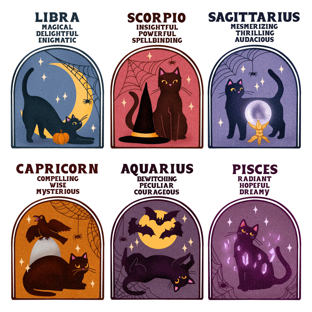 Image of SPOOKY CAT ASTROLOGY TEE - LIGHT