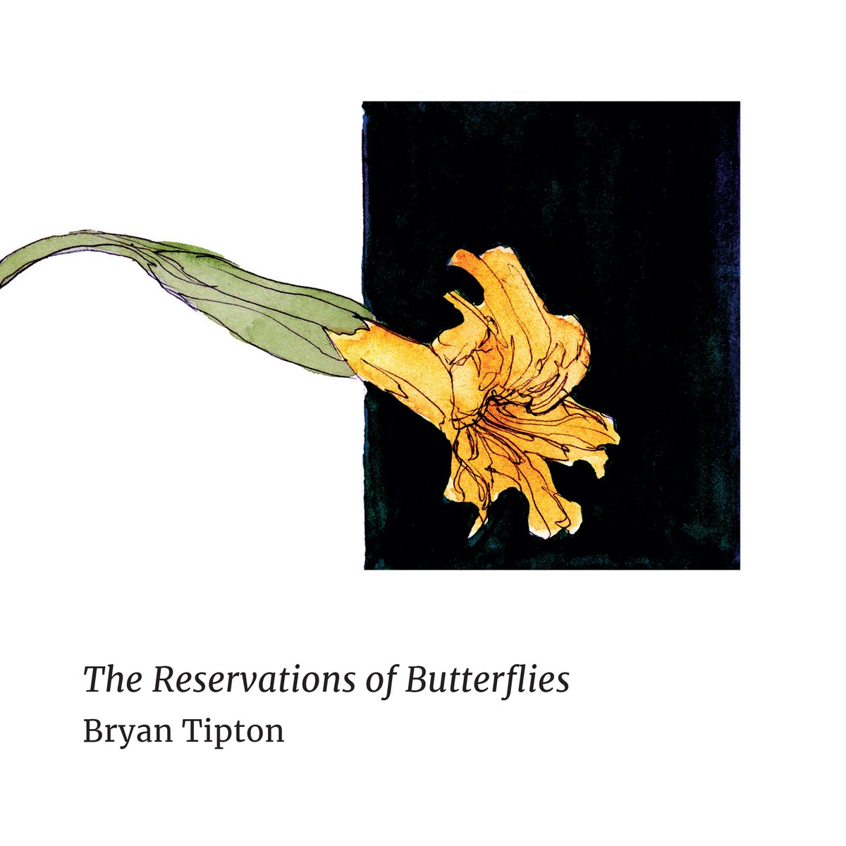 Image of Finch: The Reservations of Butterflies