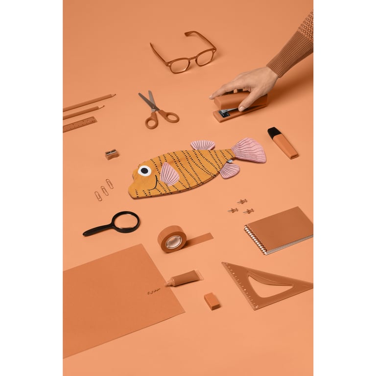 TROUSSE POISSON-COFFRE, DON FISHER Image 3
