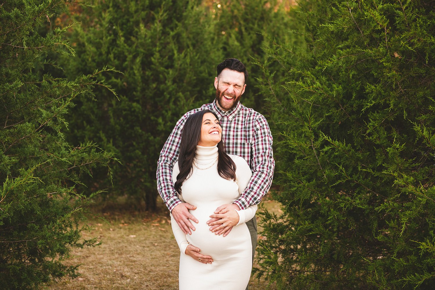 Image of Christmas Tree Minis