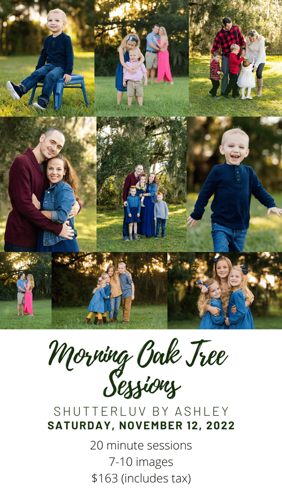 Image of Oak Tree Morning Session with Shutterluv by Ashley- Saturday, Nov 12, 2022