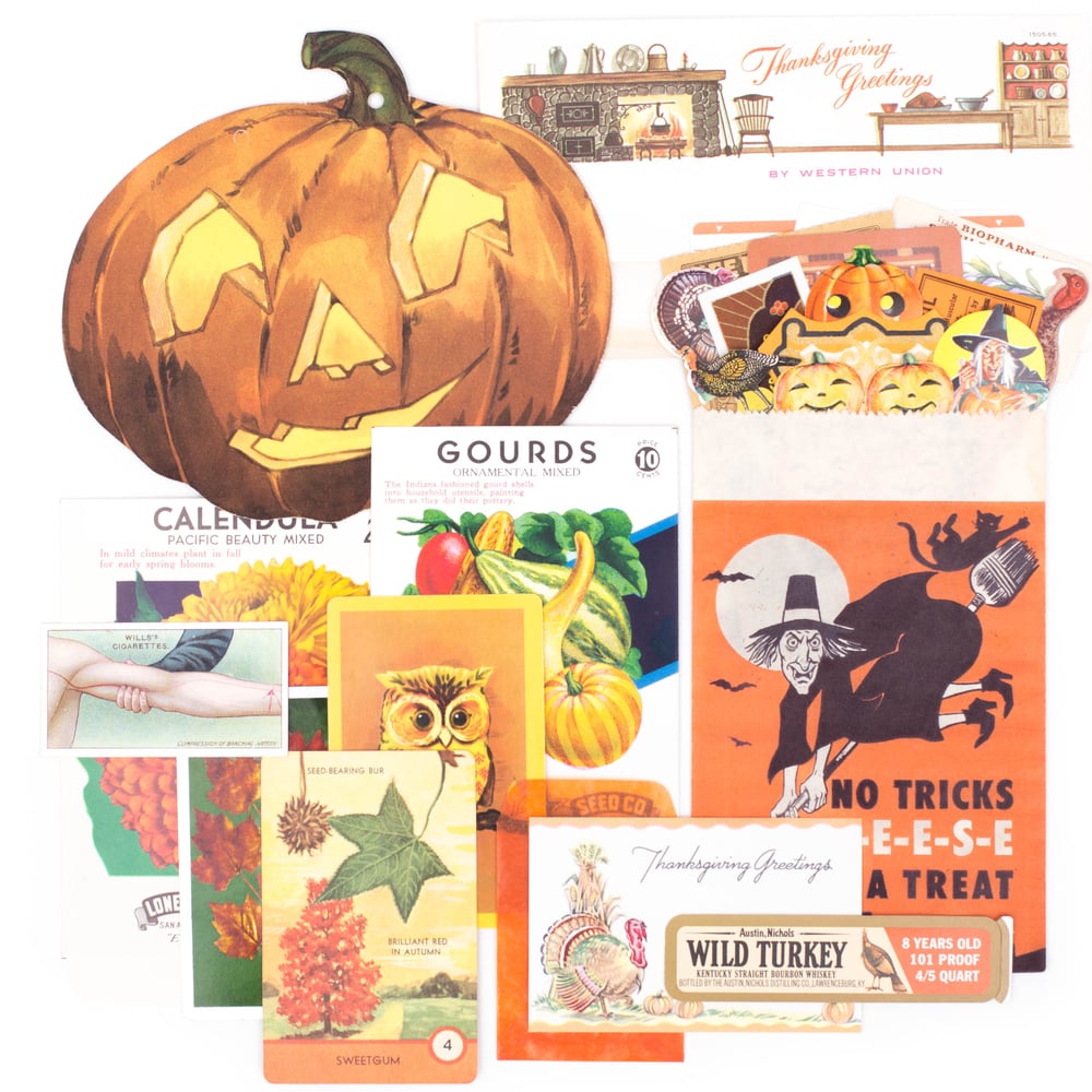 Image of SALE - Halloween and Thanksgiving Paper Pack