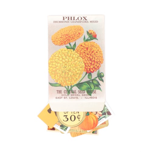 Image of Mini Phlox Seed Packet with Floral Ephemera 