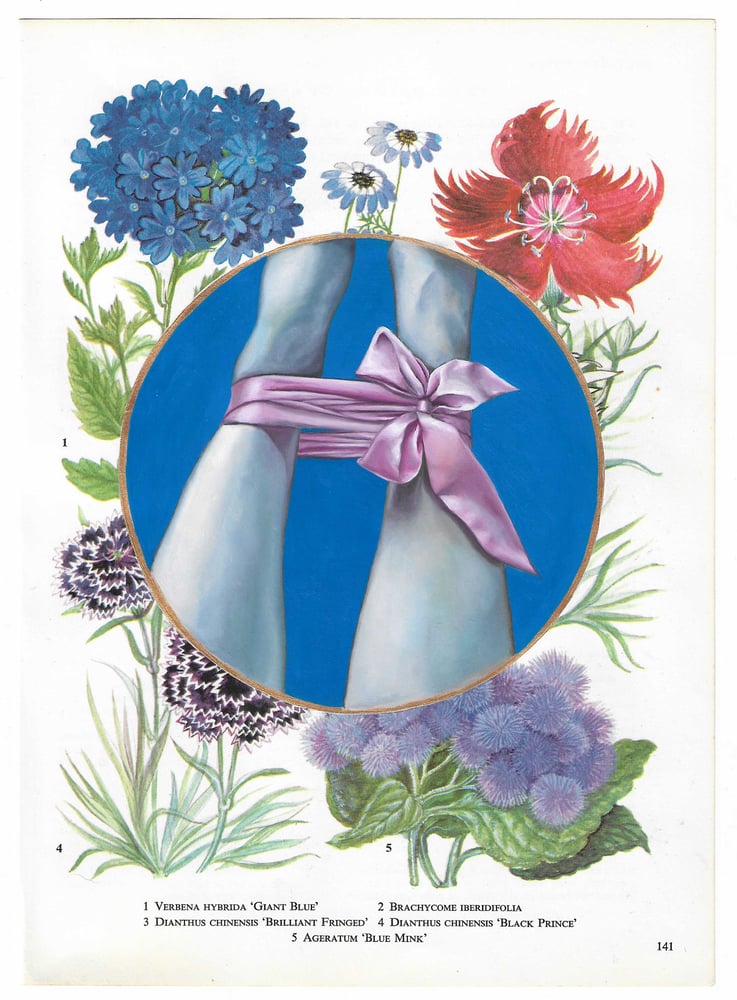 Image of Emma Harvey - Flower Book Plate 14, (2022)  Oil on paper