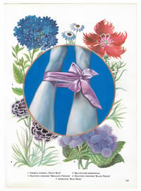 Image 1 of Emma Harvey - Flower Book Plate 14, (2022)  Oil on paper
