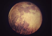 'Hunter's  Moon' Photographic Print  *LAST ONE*