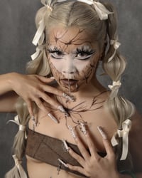 Image 5 of BROWN BEAR TABOO LINER