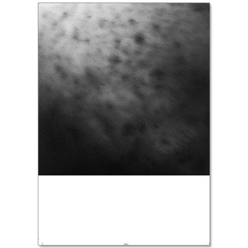 Image of Al Palmer - Framework Vol II