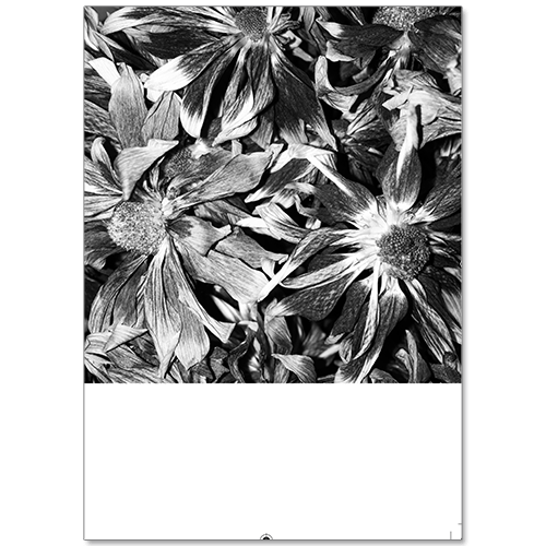 Image of Al Palmer - Framework Vol II